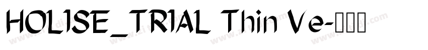 HOLISE_TRIAL Thin Ve字体转换